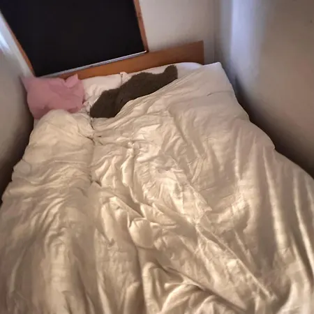 Pensionat Centrum Oslo