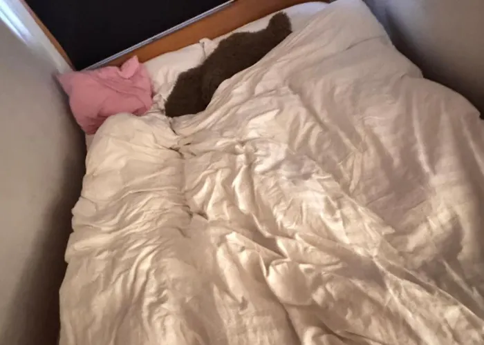 Гостевой дом Centrum 3*